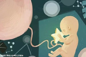靠谱借卵代怀多少费用
